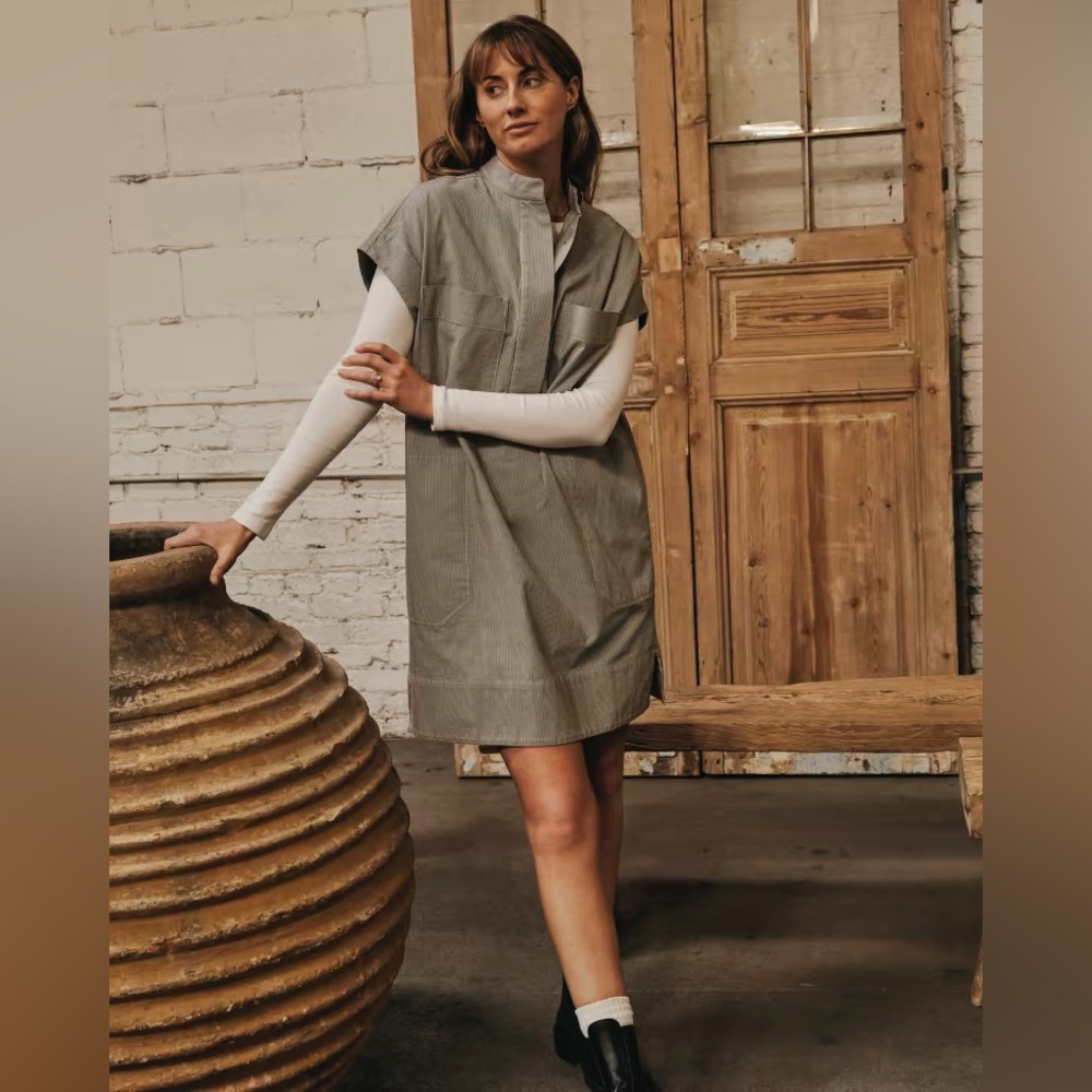 Everlane Easy Workwear Dress